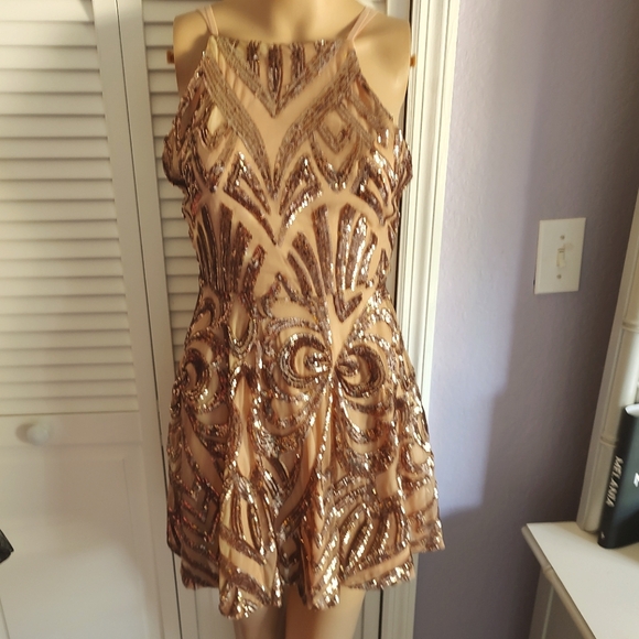 Rose Gold Sequin And Mesh Mini - Picture 1 of 9